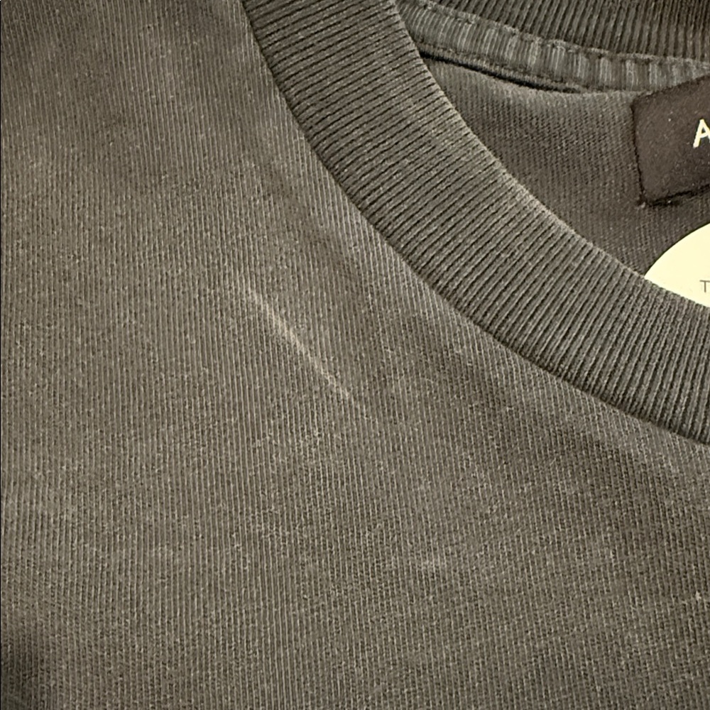 Anine Bing Stardust T shirt - Picture 8 of 8